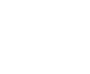Evolution games at Ancestor Casino